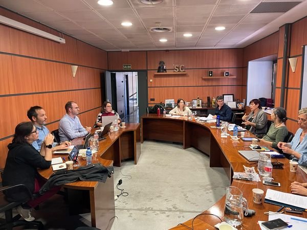 Consejo de la CNSE
