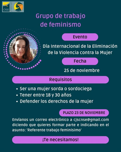 GRUPO DE TRABAJO DE FEMINISMO