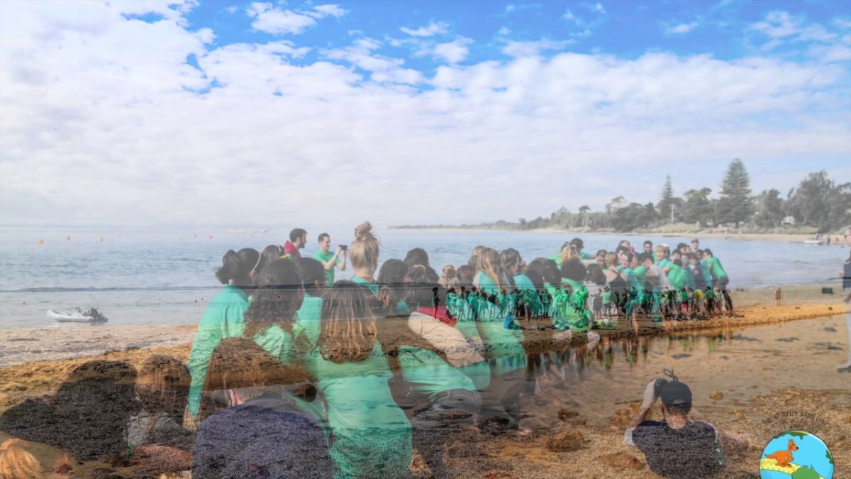 Resumen WFDYS Junior Camp 2017
