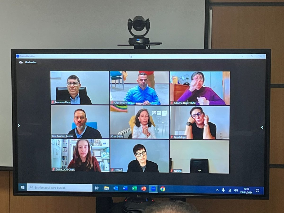 Reunión del Consejo de la CNSE